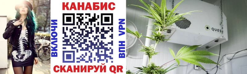 купить   ссылка на мегу как зайти  Бошки Шишки индика  Дмитровск 